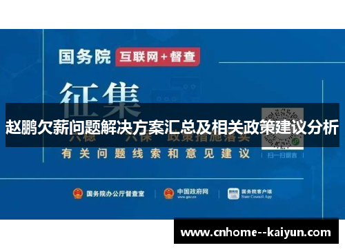 赵鹏欠薪问题解决方案汇总及相关政策建议分析